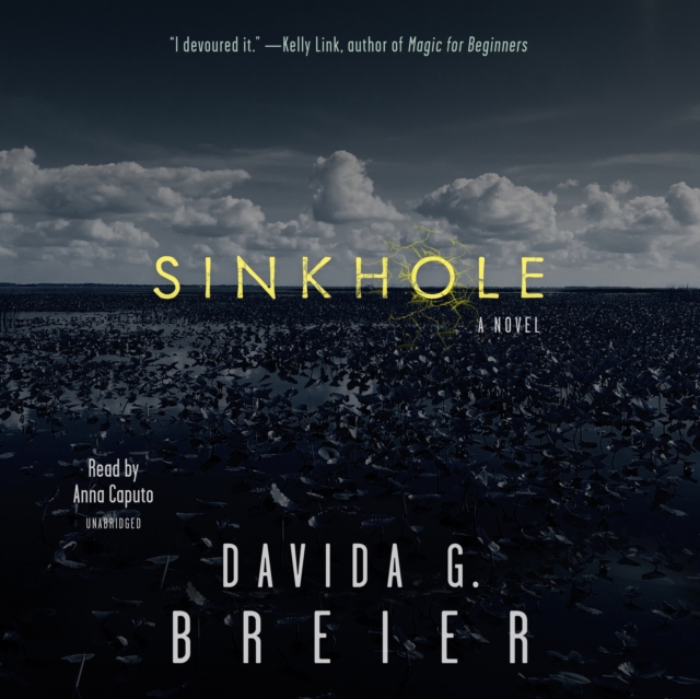 Sinkhole, eAudiobook MP3 eaudioBook