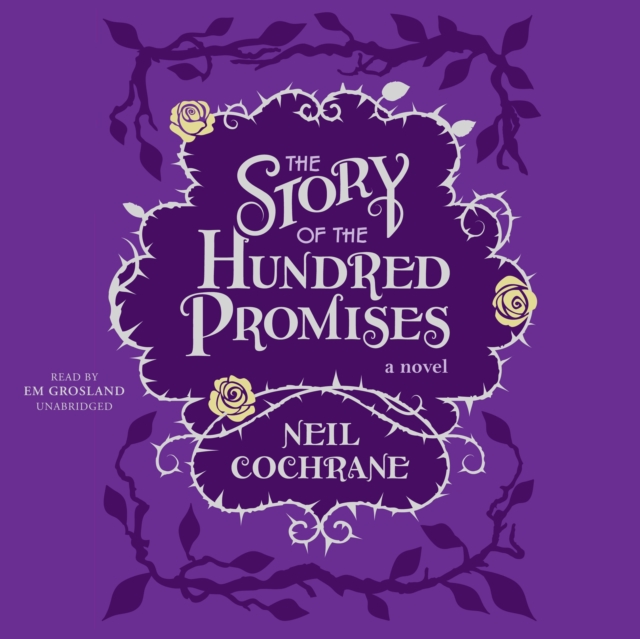 The Story of the Hundred Promises, eAudiobook MP3 eaudioBook