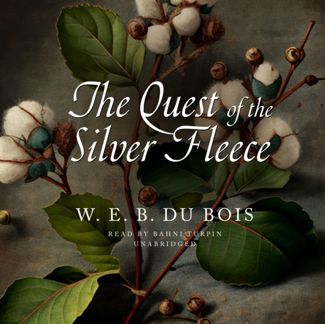 The Quest of the Silver Fleece, eAudiobook MP3 eaudioBook