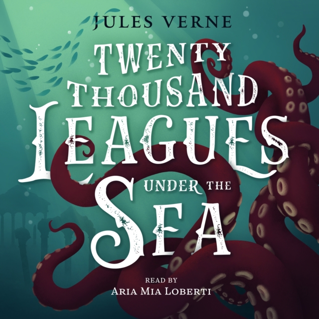Twenty Thousand Leagues Under the Sea, eAudiobook MP3 eaudioBook