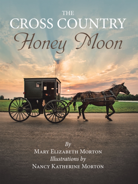 The Cross Country Honey Moon, EPUB eBook