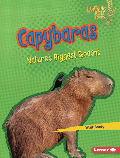 Capybaras : Nature's Biggest Rodent, EPUB eBook