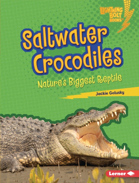 Saltwater Crocodiles : Nature's Biggest Reptile, EPUB eBook