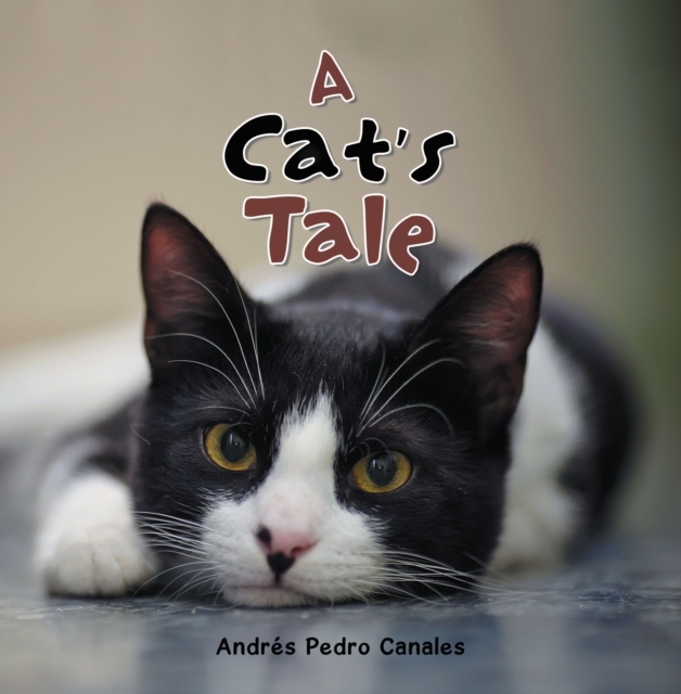 A Cat's Tale, EPUB eBook