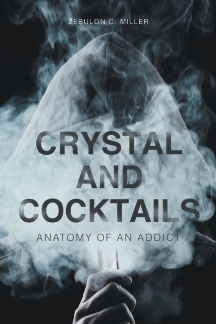 Crystal and Cocktails : Anatomy of an Addict, EPUB eBook