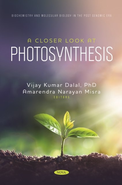 A Closer Look at Photosynthesis, PDF eBook