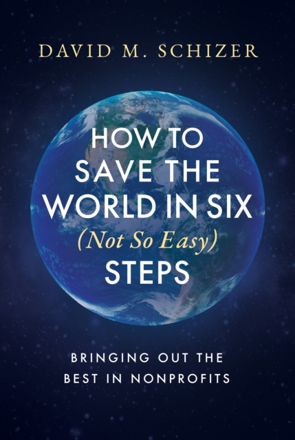 Schizer How to Save the World in Six (Not So Easy) Steps: Bringing Out the Best ...