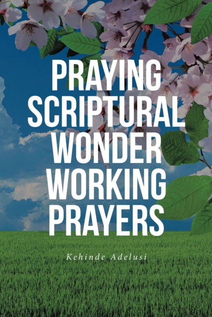 Praying Scriptural Wonder Working Prayers, EPUB eBook