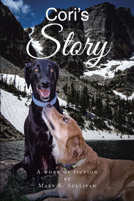 Cori's Story, EPUB eBook