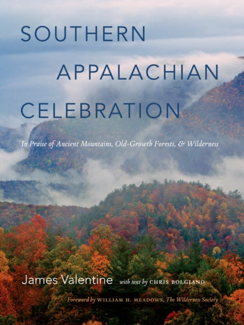 Southern Appalachian Celebration : In Praise of Ancient Mountains, Old-Growth Forests, and Wilderness, PDF eBook