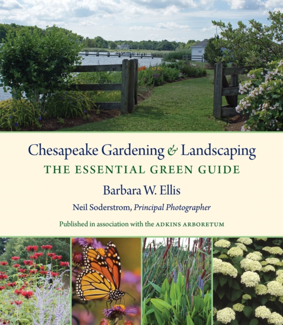 Chesapeake Gardening and Landscaping : The Essential Green Guide, PDF eBook