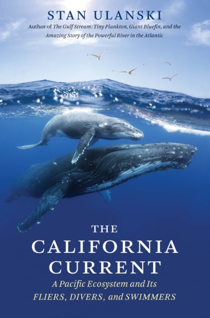 The California Current : A Pacific Ecosystem and Its Fliers, Divers, and Swimmers, PDF eBook