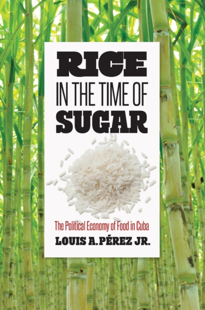 Rice in the Time of Sugar : The Political Economy of Food in Cuba, PDF eBook