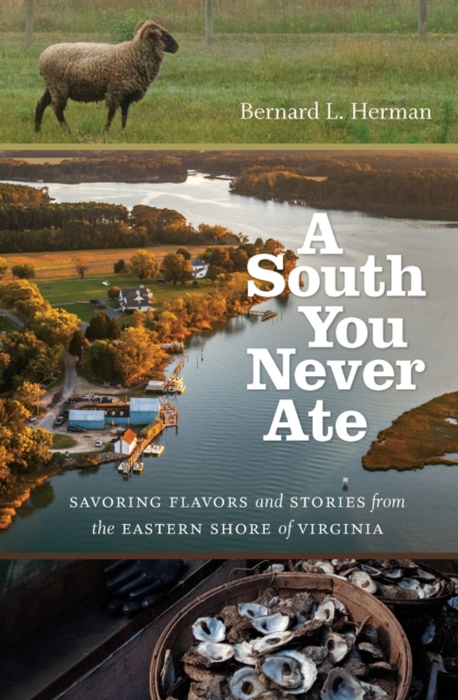 A South You Never Ate : Savoring Flavors and Stories from the Eastern Shore of Virginia, PDF eBook