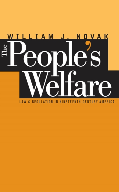 The People's Welfare : Law and Regulation in Nineteenth-Century America, PDF eBook