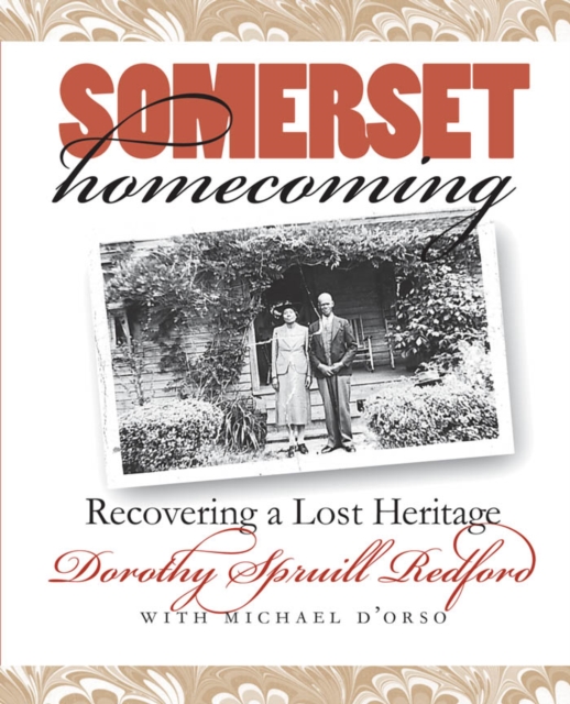 Somerset Homecoming : Recovering a Lost Heritage, PDF eBook